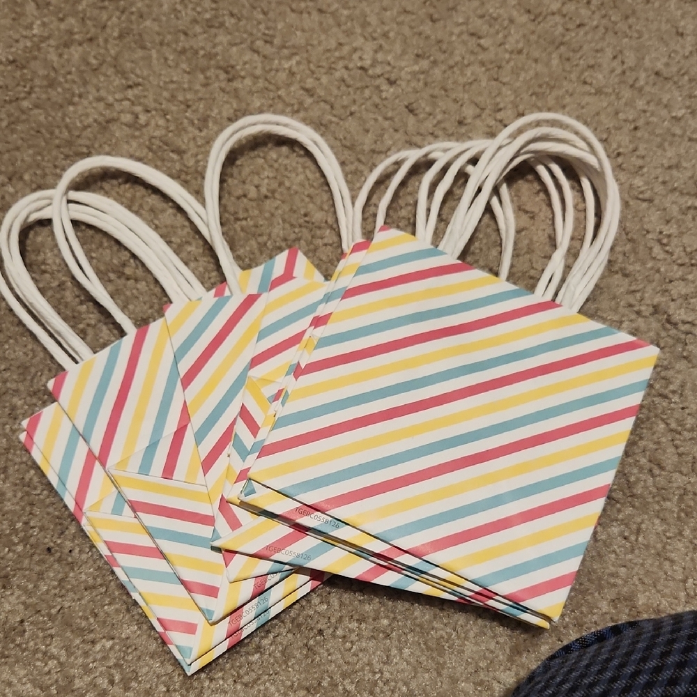 Colorful Striped Party Gift Bags (9)
